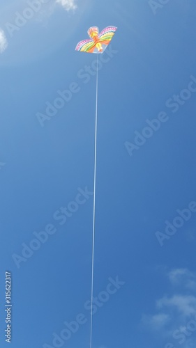 Kite in the sky 3