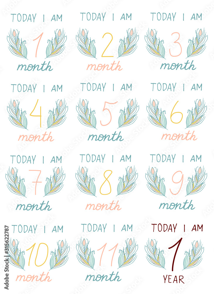 Cute Baby milestone cards. Can use for monthly baby picture Cards and ...