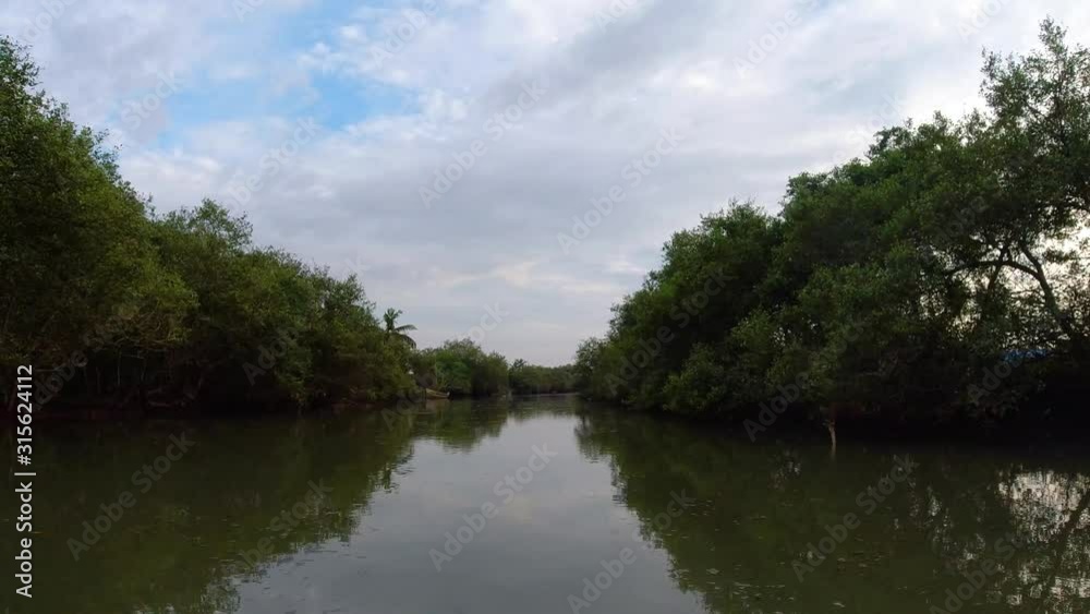 Narrow river path with dark green trees and parked boats on both the sides, while taking a boat ride, India Narrow river path with dark green trees and parked boats on both the sides, while taking a boat ride, India