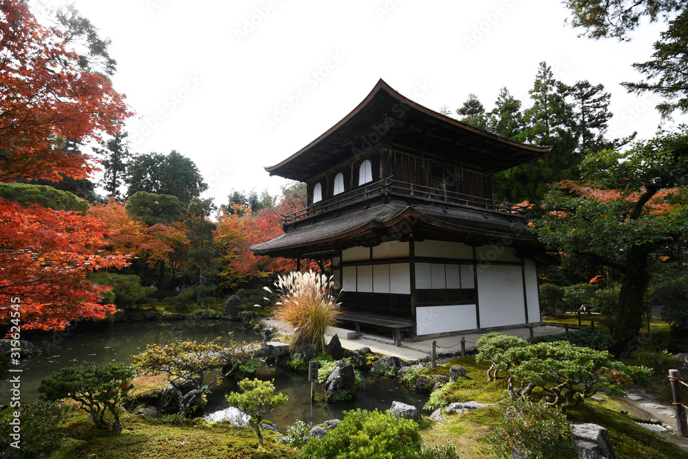 Beautiful fall colors in Ginkaku-ji Silver Pavilion during the autumn season in Kyoto