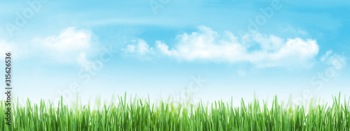 Abstract sunny grass and sky backdrop © karandaev