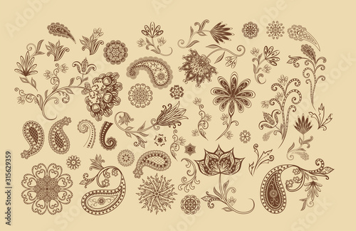 Vector decorative design Paisley, floral elements.