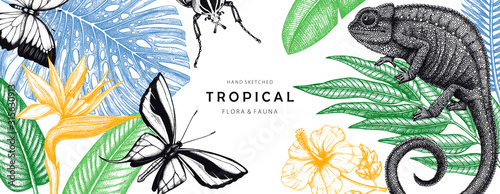 Tropical banner design. Vector frame with hand drawn tropical plants, exotic flowers, palm leaves, insects and chameleon. Vintage wildlife background. Summer template with tropical plants and animals.