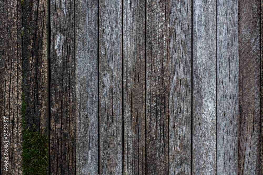 texture of gray rotten wooden boards with rusty nails, cracks and moss texture of gray rotten wooden boards with rusty nails, cracks and moss