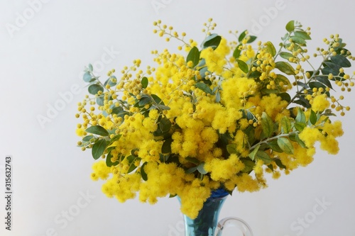 ミモザの花