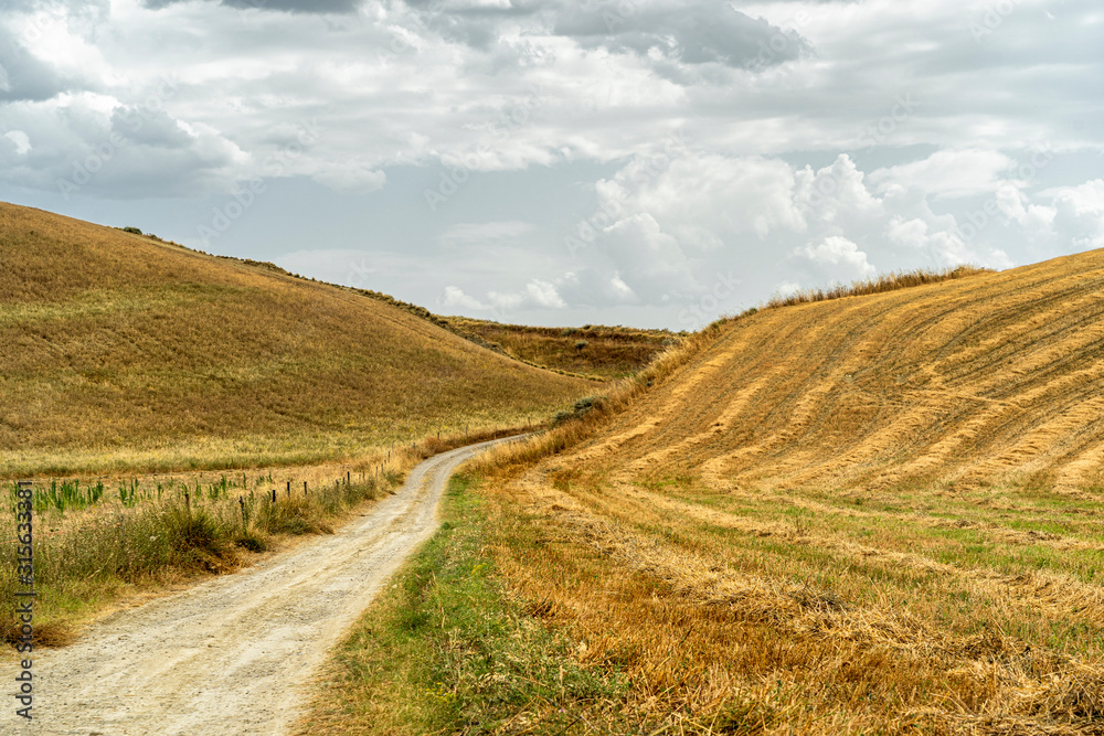 Rural landscape in Matera province at summer