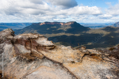 Eucalyptus forests in the Blue mountains, Katomba, Leura, Sydney 