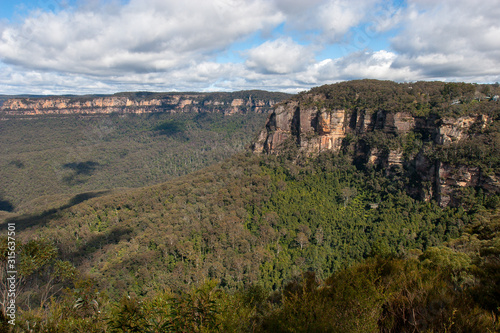 Eucalyptus forests in the Blue mountains, Katomba, Leura, Sydney 
