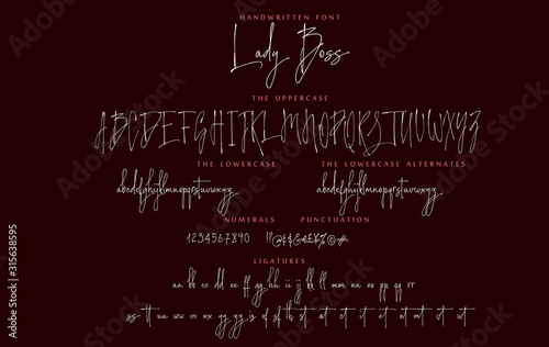 Handwritten script font vector alphabet Lady Boss set photo