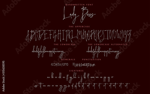 Handwritten script font vector alphabet Lady Boss set