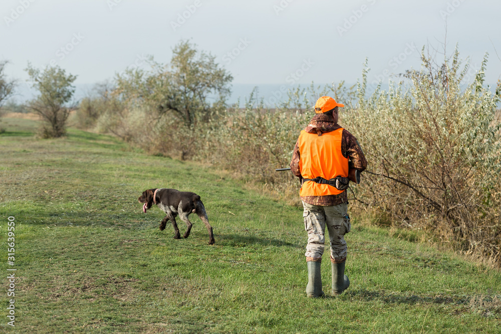 A man with a gun in his hands and an orange vest on a pheasant hunt in a wooded area in cloudy weather. Hunter with dogs in search of game. A man with a gun in his hands and an orange vest on a pheasant hunt in a wooded area in cloudy weather. Hunter with dogs in search of game.
