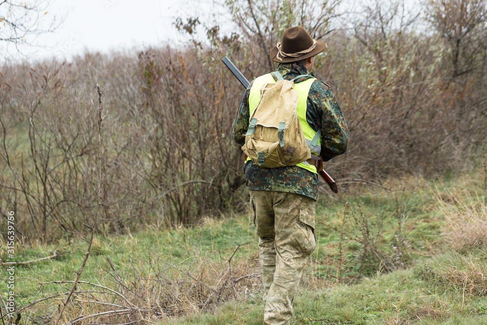 Hunting period, autumn season open. A hunter with a gun in his hands in hunting clothes in the autumn forest in search of a trophy. A man stands with weapons and hunting dogs tracking down the game.