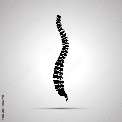 Detailed human spine  simple black icon on gray
