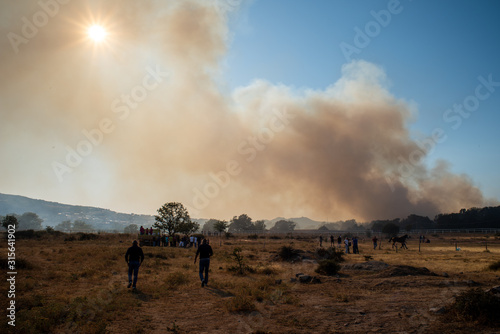 Forest fire, Sardinia