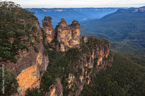 Eucalyptus forests in the Blue mountains, Katomba, Leura, Sydney 