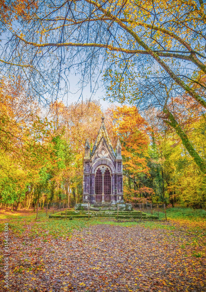 Torre Alfina (Lazio, Italy) - The sacred and magical wood called 'Bosco del Sasseto' during the autumn with foliage, beside the medieval village with castle