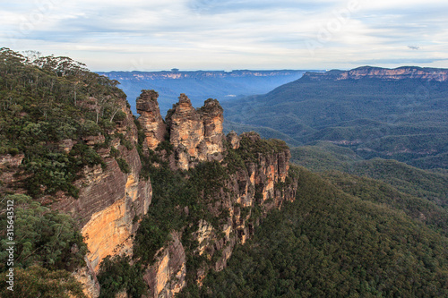 Photography Eucalyptus forests in the Blue mountains, Katomba, Leura, Sydney