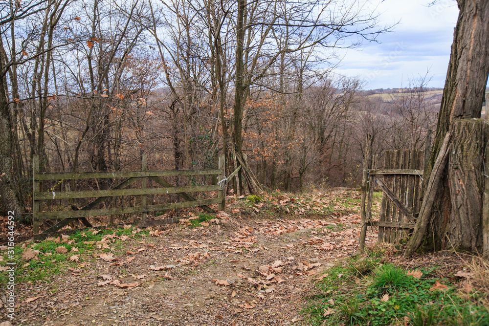 Rustic wooden fence