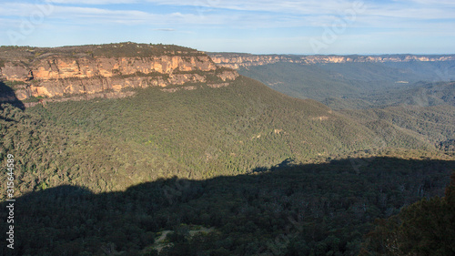 Eucalyptus forests in the Blue mountains, Katomba, Leura, Sydney 
