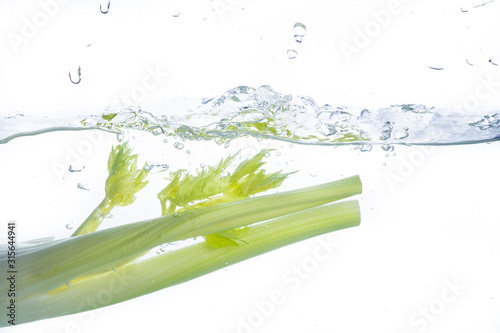 Celery Water Splash on white background