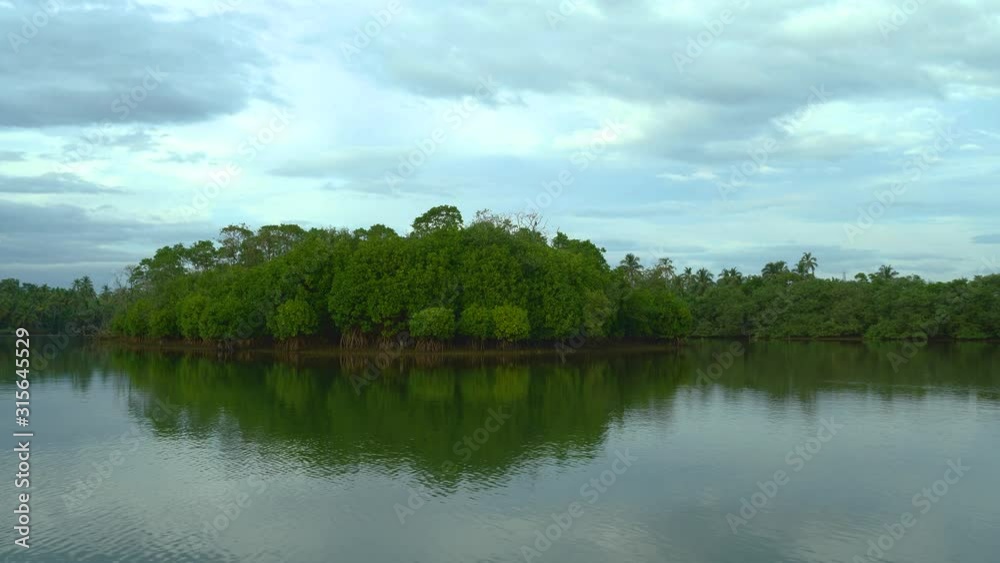 Early morning view of a river in the middle of a forest in Kerala, India, while taking a boat ride. Early morning view of a river in the middle of a forest in Kerala, India, while taking a boat ride.