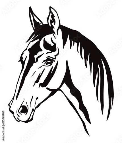 Vector decorative horse 11