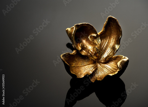 Gold orchid flower decoration not black background