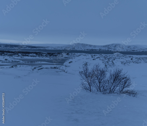 winter landscape