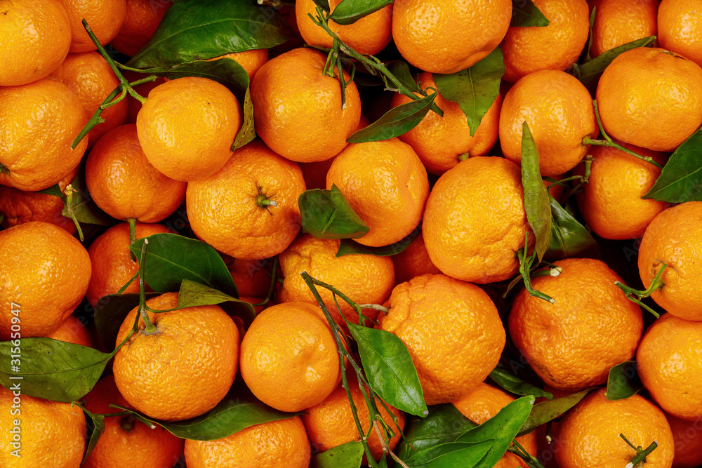 Ripe california tangerines with green leaves. Ripe california tangerines with green leaves.