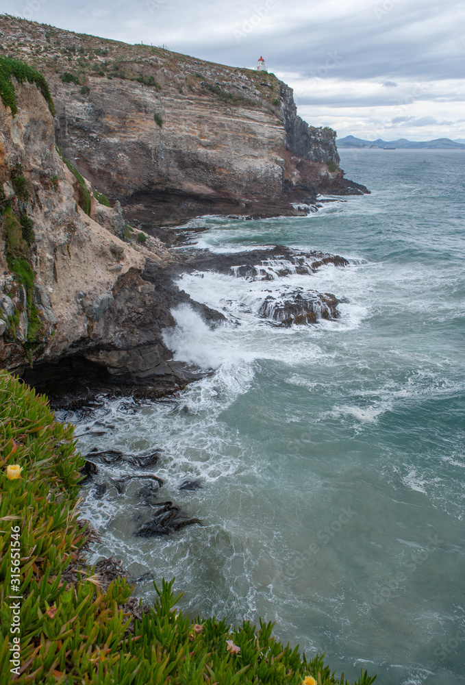 Taiaroa Head Dunedin Otago New Zealand. Cliffs ocean cost