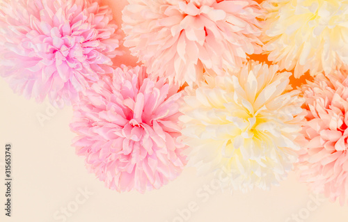 Beautiful abstract color purple and pink flowers on yellow background and white flower frame and pink leaves texture, white background, colorful colorful banner happy valentine