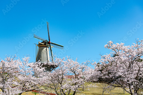 長沼フートピア公園オランダ風車と満開の桜並木