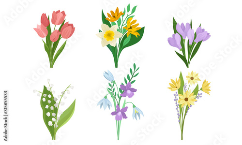 Spring Flowers Growth Vector Set. Colorful Garden and Wild Plants Growing in Spring