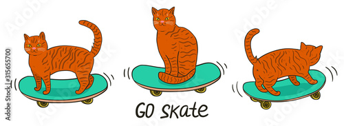 Cats on skateboards isolated on a white background. Vector graphics.