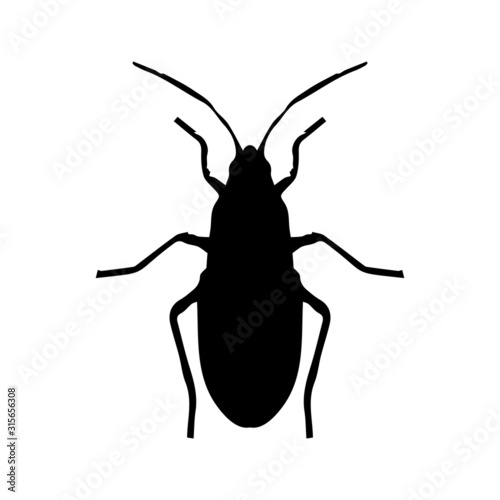 Bug silhouette vector