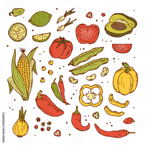 Hand drawn doodle Fresh Fruits and Vegetables - Vector set