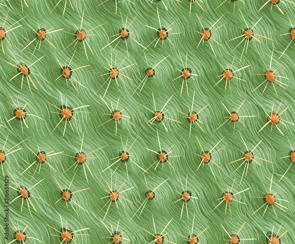 Seamless background, cactus with spikes. The texture of the cactus. Prickly pear.