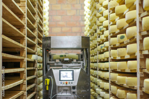 Fototapeta Naklejka Na Ścianę i Meble -  modern and traditional cheese making with high tech robot assisting