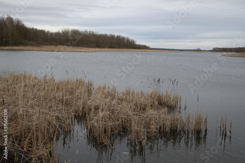 Roseli  re du lac de madine