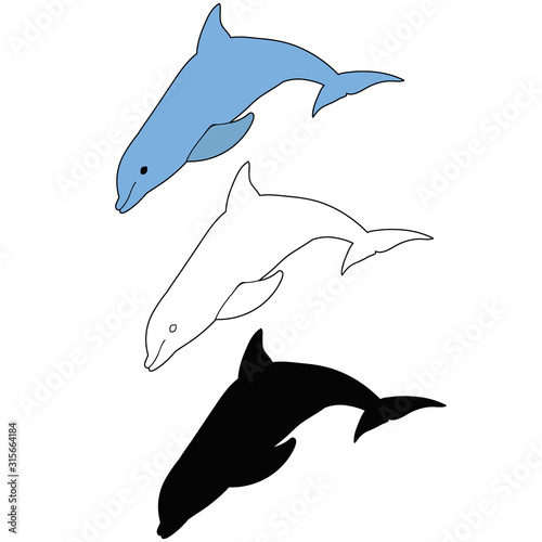 vector  isolated  blue dolphin  silhouette and sketch