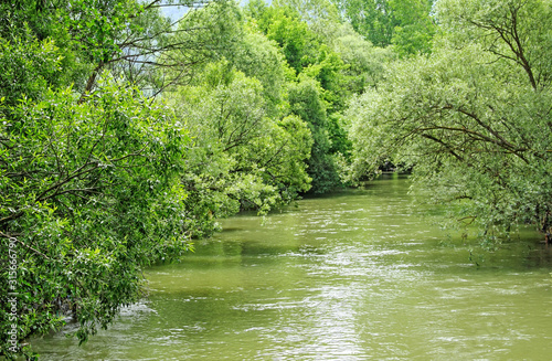 A view on the Ibar river with trees above it.