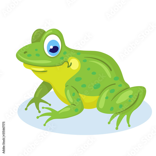 Little funny frog is sitting. Isolated on white background. Flat style. Vector illustration.