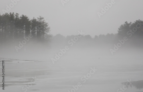 Winter Pond in a Fog