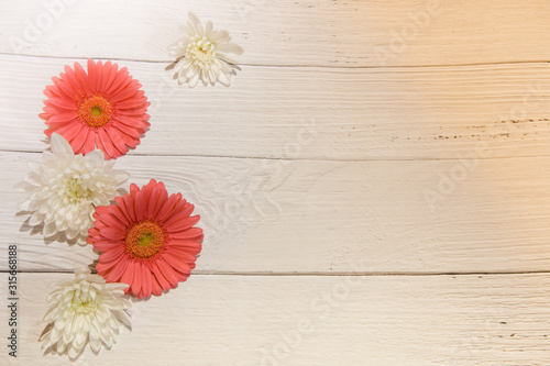Pink and White flowers on white wood background