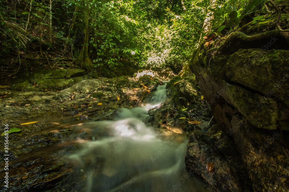 Kathu Waterfall in the tropical forest area In Asia, suitable for walks, nature walks and hiking, adventure photography Of the national park Phuket Thailand,Suitable for travel and leisure. Kathu Waterfall in the tropical forest area In Asia, suitable for walks, nature walks and hiking, adventure photography Of the national park Phuket Thailand,Suitable for travel and leisure.