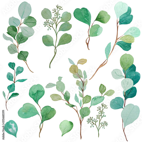 Watercolor set of sprigs of eucalyptus. Perfect for decorating textiles, photo albums, cards, invitations, scrapbooking and much more.