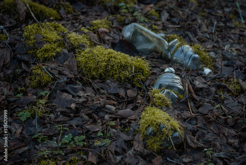 plastic bottles in the forest overgrown with more. The problem of ecology