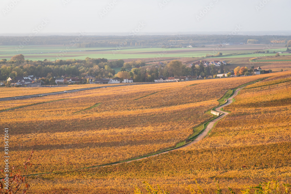 vignes de Nuits-saint-Georges en automne. Côte d'or et bourgogne en automne vignes de Nuits-saint-Georges en automne. Côte d'or et bourgogne en automne