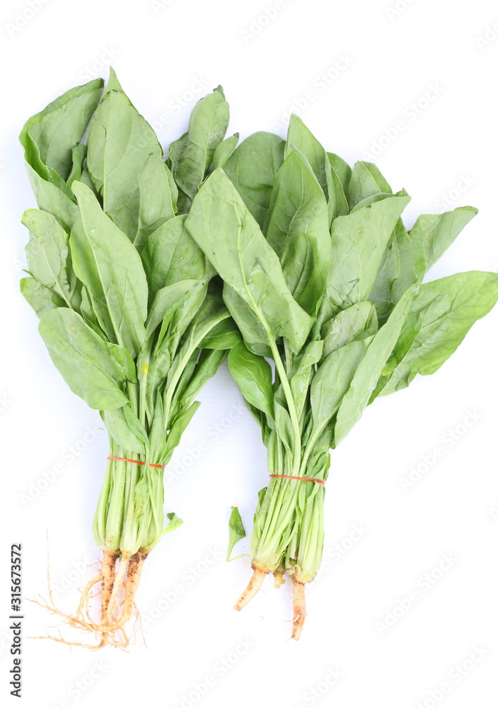 Chinese kale vegetable isolated on white Chinese kale vegetable isolated on white