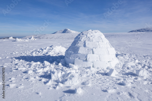 Igloo in a white winter landscape